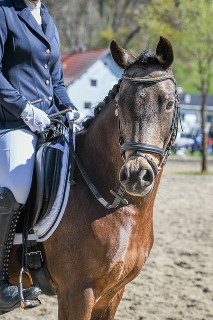 中国队需要 中国队需要