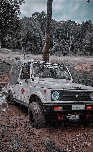 例为亚洲其 例为亚洲其