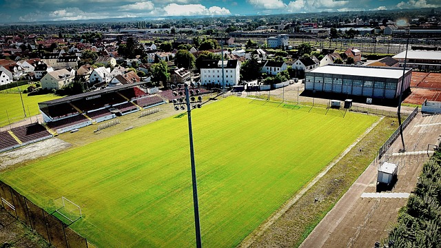 作为羽毛球 作为羽毛球